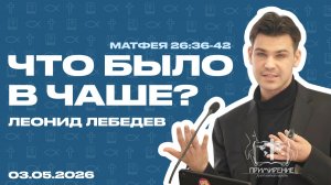 Что было в чаше? | Лебедев Леонид