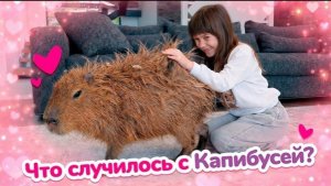 🍿Спасаем капибару от мамы! Бьянка расчёсывает Капибусика после кустов, но Маша уже идёт ДомОЙ !