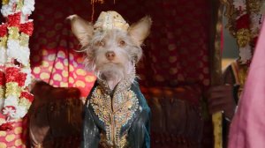 PUP STAR_ WORLD TOUR MUSIC VIDEO - 'Slum Dog' by RAJI