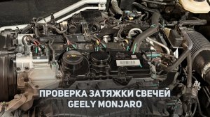 Проверка затяжки свечей зажигания на новом Джили Монжаро рестайлинг / Geely Monjaro 2026