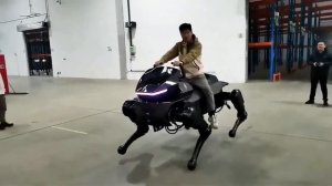 Настоящая роболошадь появилась в Китае.

Qiji T1000 от компании DAX Robotics может проникать в места