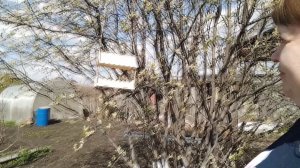 ПРОСТАЯ ЖИЗНЬ 45// УТРО 1 МАЯ //НЕПОГОДА //СЪЕЗДИЛИ В МФЦ ПОЛУЧИЛИ БУМАГУ