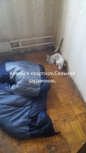 Уничтожение клопов.Дезинсекция
