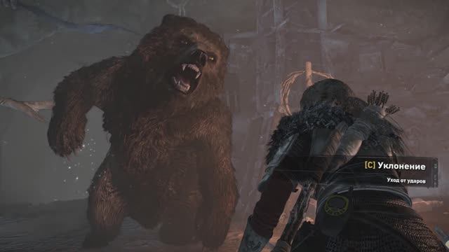 Rise of the Tomb Raider Зимний Лес Встреча с Медведем #3