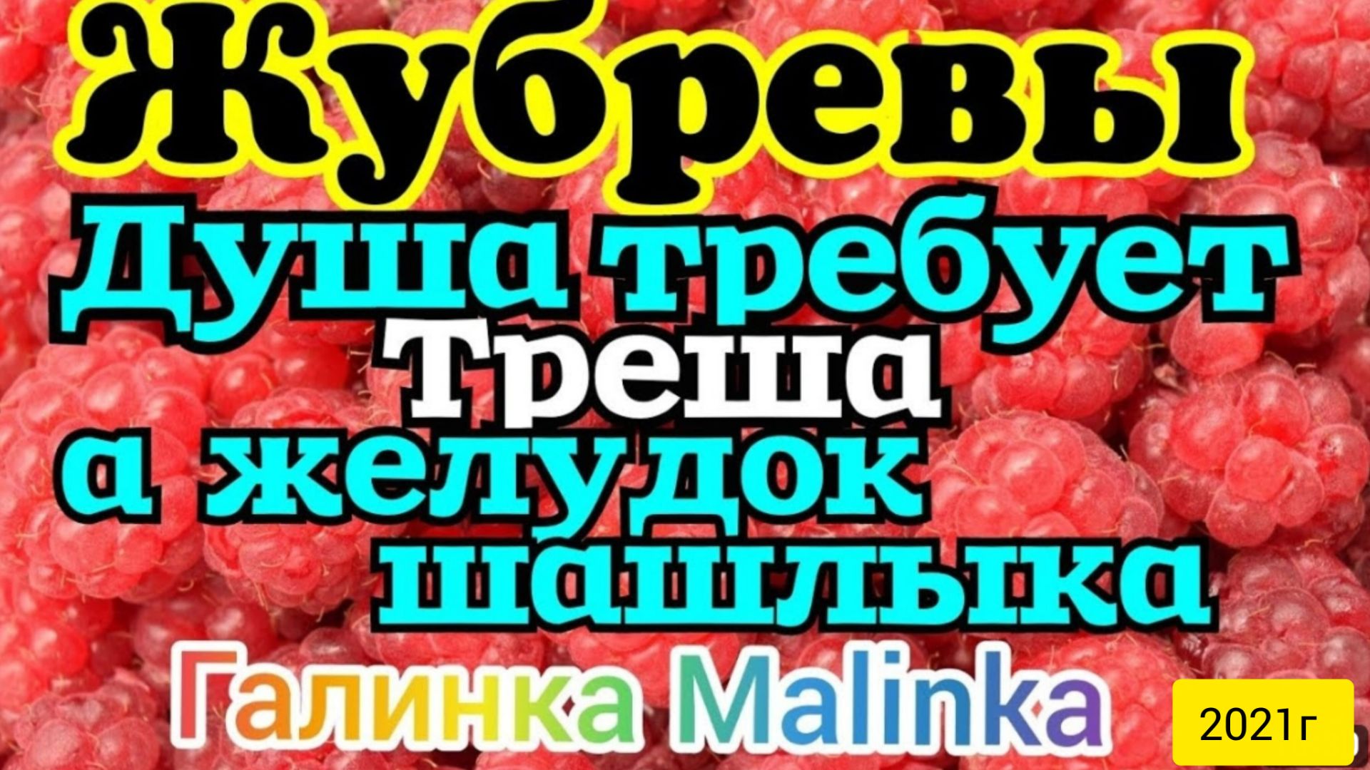 Жубревы Life Vlog _Обзор Влогов _Когда душа требует Треша, а желудок Шашлыка __