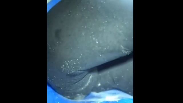 Фильмы ужасов моего детства