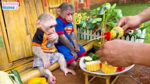 Smart BiBi harvests fruit for BBQ with baby monkey Obi