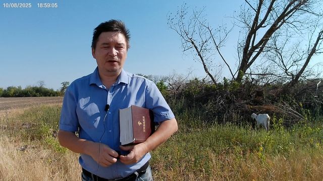 Одежда судьи