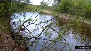 Рыбалка в проводку на майского жука весной в мае. Проверка клева.