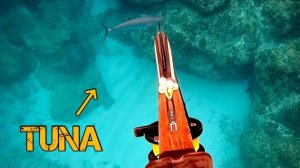 Подводная охота / Самый большой в истории гигантский каранкс... и худший из возможных финалов...