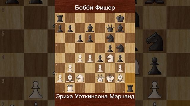Бобби Фишер vs. Эрих Уоткинсон Маршан (1956) — Разгромная победа на Eastern States Open