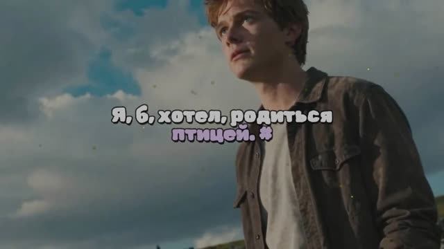 Я, б, хотел, родиться птицей. #