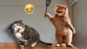 Самые смешные собаки и кошки 2026 года😼🐶Постарайтесь не смеяться😜