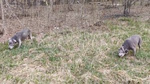 VID_20260427_071712