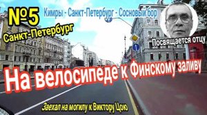 №5.На велосипеде в Санкт-Петербург｜Путешествие на Финский залив｜Сосновый бор｜Могила Виктора Цоя