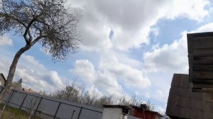 Николаеские голуби
