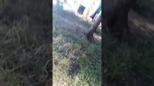 влог на весеннюю избушку 2