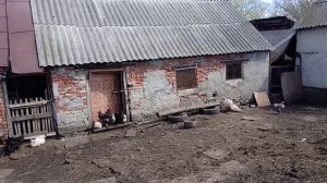 Каждый день сюрпризы