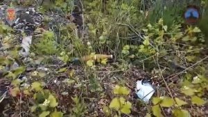 Системой «Купол Донбасса» и сводными мобильными огневыми группами за неделю предотвращена 61 терр...