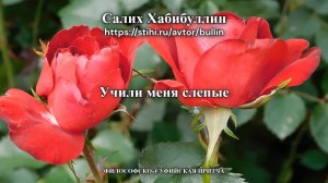Учили меня слепые