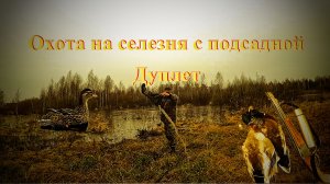 Охота на селезня с подсадной. Дуплет.