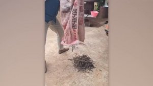 55 ЯВЛЕНИЙ, КОТОРЫЕ ПРОИСХОДЯТ ПО ВСЕМУ МИРУ ПРЯМО СЕЙЧАС