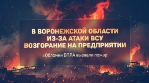 В Воронежской области из-за атаки БПЛА произошло возгорание на предприятии