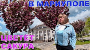 МАРИУПОЛЬ - ЖИЗНЬ В МИРНОМ ЮЖНОМ ГОРОДЕ - УНИКАЛЬНОЕ ЗРЕЛИЩЕ - ЦВЕТУЩАЯ САКУРА