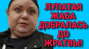 ДОБРАЛАСЬ ДО ЖРАТВЫ! ДЕВУШКА С УРАЛА. ОБЗОР.