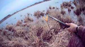 Сегодня порыбачил на Карася🎣 Ловлил на 6-метровую маховую удочку 🎣 Прикормка Стерля (Чеснок).
