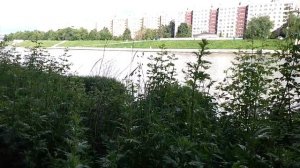 1231 12.06.2021 г Орёл, прогулка от пляжа до Герценского моста КНС 6 известняк скалы сапсёрфинг сап