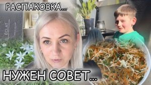 Распаковка 📦 заказала парфюм Eclat ✔️ чудо порошок, нужен совет ✔️ Русское тв 📺 салат 🥗 Прогулка