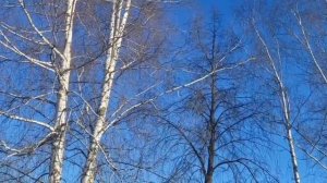 MOV_20260503_085943_198.mp4 Челлендж от ,,БАБУШКИ БЕЗ КОМПЛЕКСОВ».
