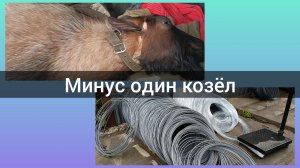 У нас остался только один производитель 🐐Открыли дачный сезон 🛒