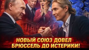 ГЕРМАНИЯ В ЯРОСТИ! Friedrich Merz ШОКИРОВАН ТАЙНЫМИ ПЕРЕГОВОРАМИ С Vladimir Putin!