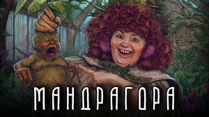 РИТУАЛ-ЧИСТКА, ОТ ПОРЧИ НА ГЛАЗА И ОТ МОРОКА!
