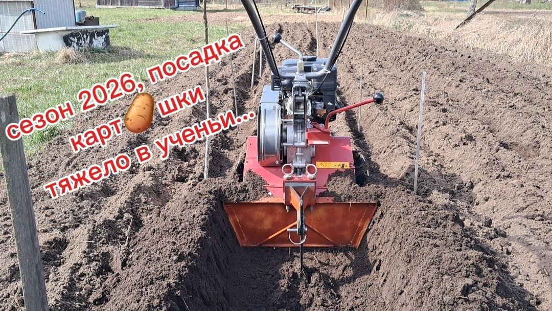 Посадка кпртошки - тяжело в ученьи!..