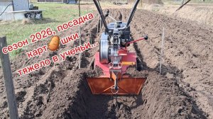 Посадка кпртошки - тяжело в ученьи!..