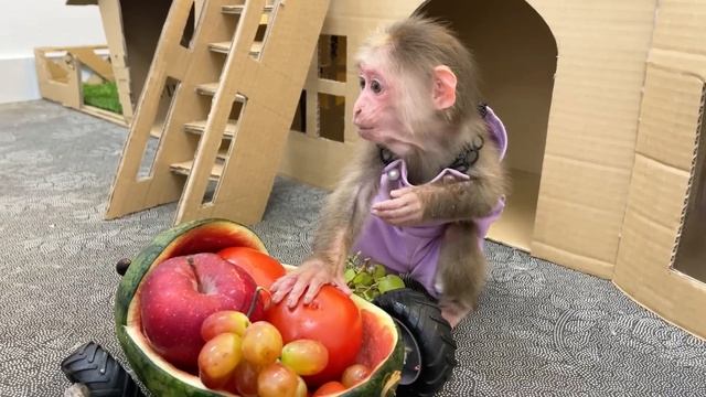 BiBi obedient enjoys a fruit dinner
