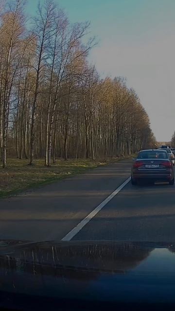 Пыль столбом, а совесть — лесом..