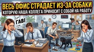 Истории из Жизни - Весь офис страдает из-за собаки