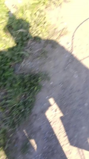 стрим