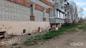 3мая 2026г. В гостях. И возле дома.