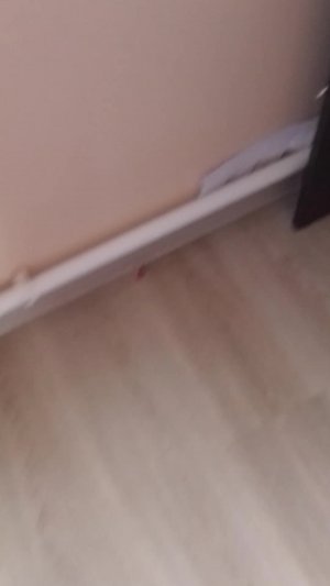 на связи
