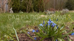 Мой сад в начале мая