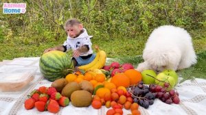 Cute BiBi makes fruit sandwich and picnic with Amee