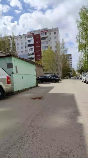 покатушки от первого лица
