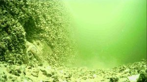 1000016776.mp4Волга гл.5м.02.05.2026г.