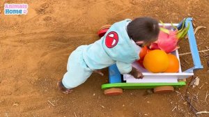 Naughty BiBi goes to harvest fruit on the farm