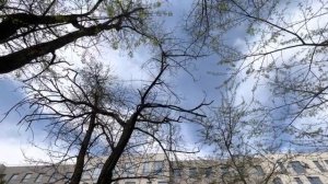 АРХИВ. Одесса 3 мая 2022 года. Не остаться в этой траве.
